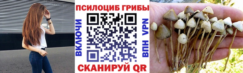 мега tor  Ярцево  Псилоцибиновые грибы прущие грибы 